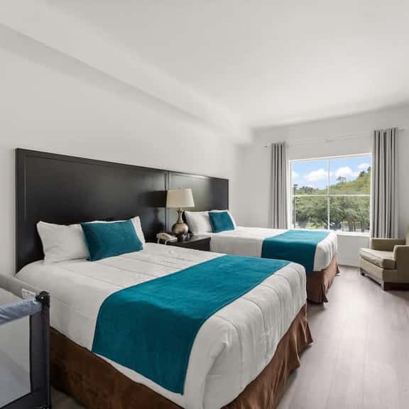 Apartment 1 BR FREE Shuttle to Disney Parks - Image 1